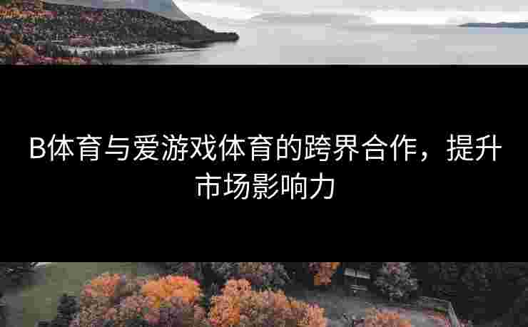 B体育与爱游戏体育的跨界合作，提升市场影响力