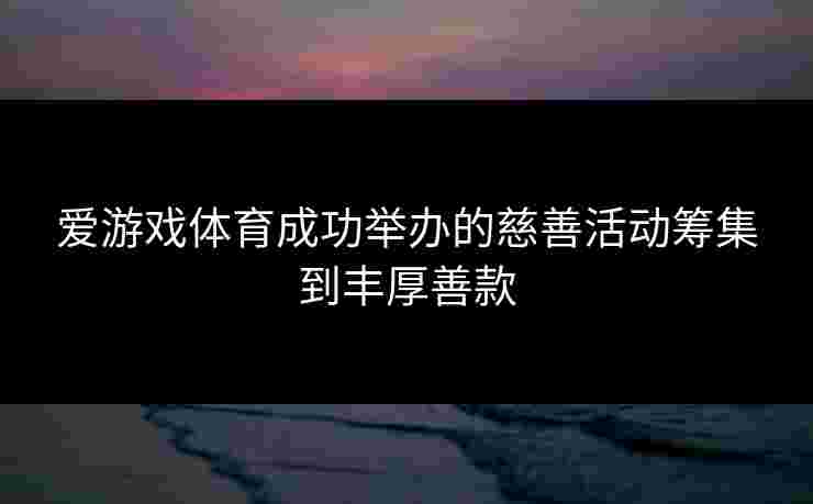 爱游戏体育成功举办的慈善活动筹集到丰厚善款