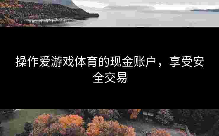 操作爱游戏体育的现金账户，享受安全交易